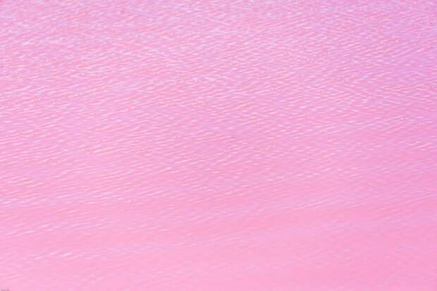 Розовое озеро фото 