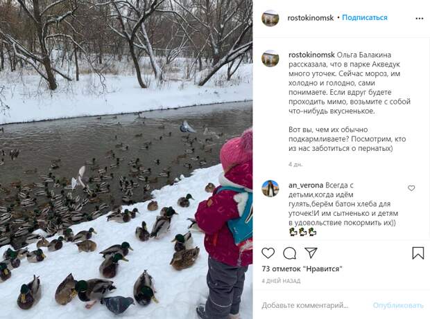 Фото дня: жители района подкармливают уток у акведука