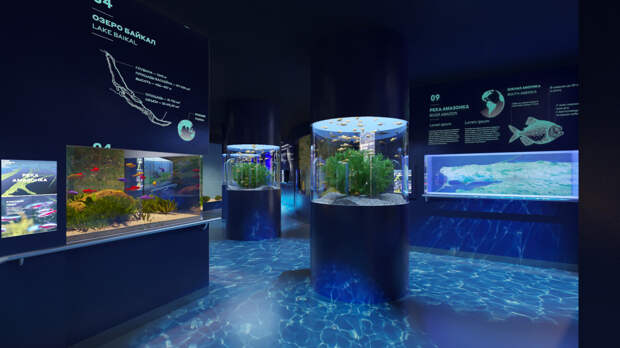 Лаборатория жизнь аквариумы