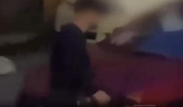 Скандал с натравливанием собаки на девушку вышел на новый уровень во Владивостоке