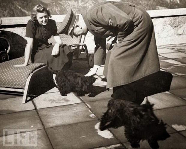 Адольф Гитлер ласкает собак