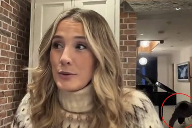 Телеведущая вышла в эфир из дома и попала в забавную ситуацию