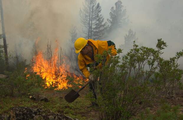Ситуация с лесными пожарами в природном заповеднике в ХМАО продолжает ухудшаться