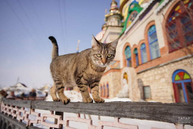 Татарстанда яңа температура рекордлары куелды