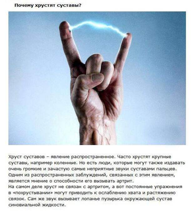 Мифы об известных вещах факты, миф, правда, кофе, язык, пуля