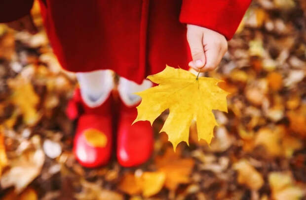 Прогноз погоды на 21 ноября