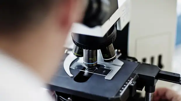 Датские учёные заявили, что подвид «омикрона» BA.2 заразнее оригинального штамма