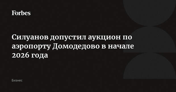Силуанов допустил аукцион по аэропорту Домодедово в начале 2026 года
