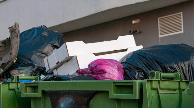 Обезглавленную иностранку нашли в мусорном контейнере в Стамбуле