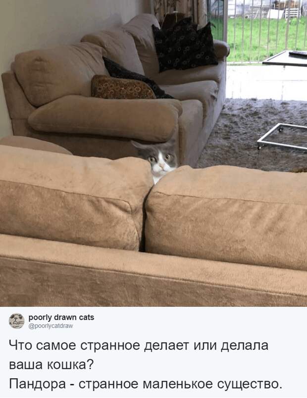 304