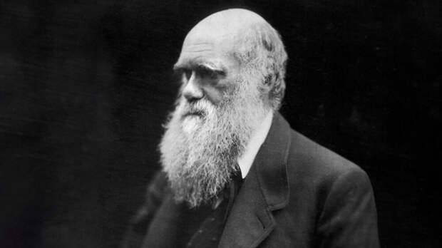 Комиссия РАН по борьбе с лженаукой отреагировала на призывы запретить теорию Дарвина