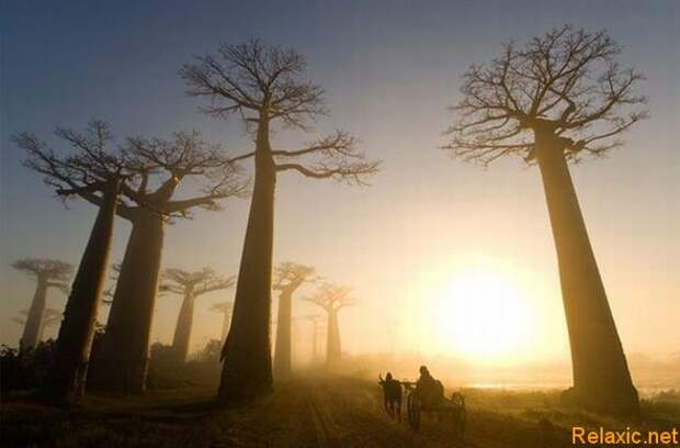 national-geographic-moments-26
