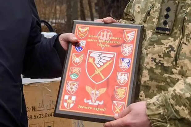 Десантно-штурмовые бригады ВСУ свели в один корпус и подчинили единому командованию