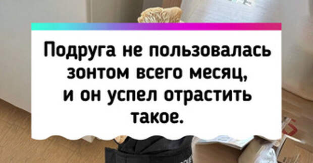20+ фото, которые наглядно показывают, как работает его величество время