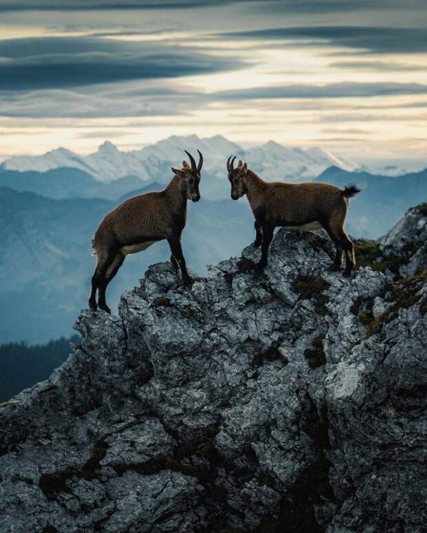 Впечатляющие снимки природы из путешествий Конста Пункка