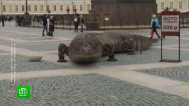 На Дворцовой площади Петербурга «поселилась» огромная ящерица