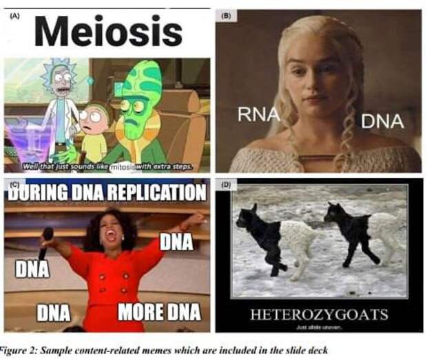 Мемы на службе науки