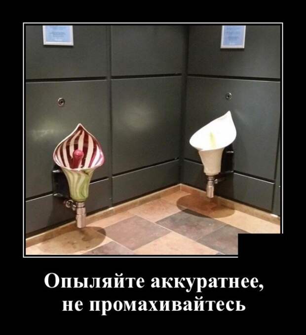 Демотиваторы (20 фото)