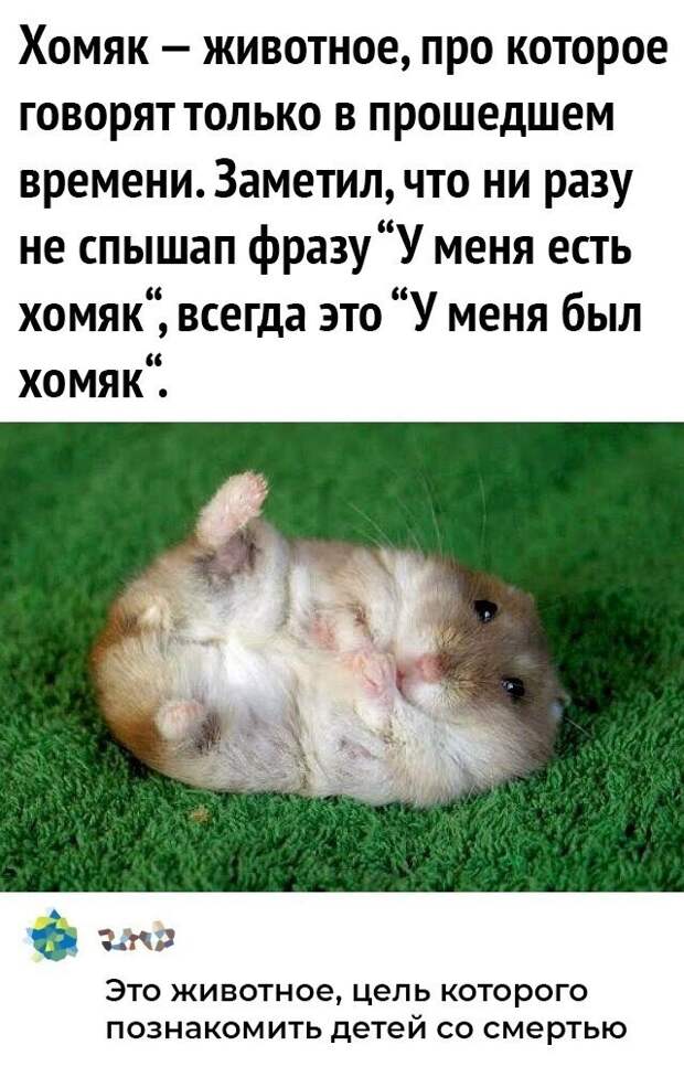 20+ интересных комментариев и диалогов из соцсетей для хорошего настроения