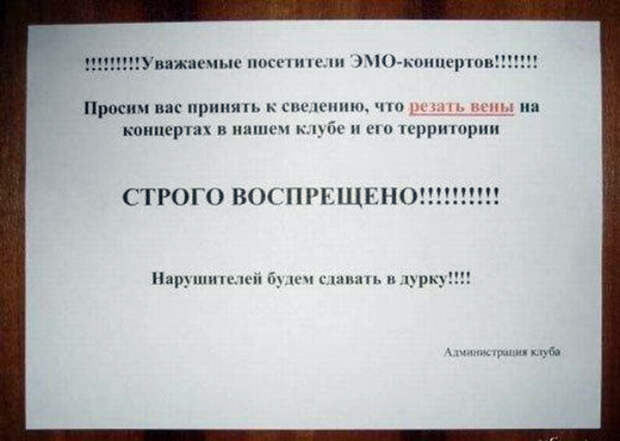 Novate.ru предупреждает, резать вены категорически запрещено. | Фото: OrangeCat - Блог про інтернет.
