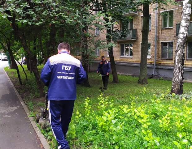 покос травы 3.png покос травы 3.png