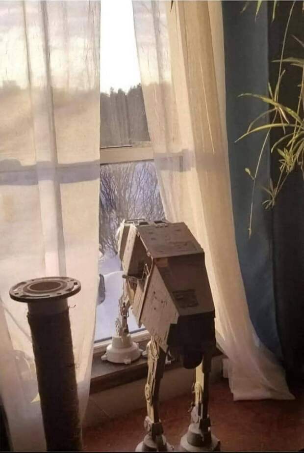 Подборка прикольных картинок