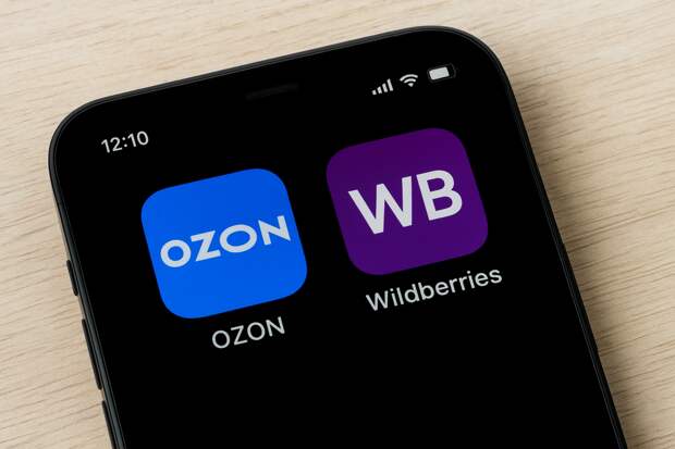 Маркетплейсы могут задействовать на выборах в Госдуму