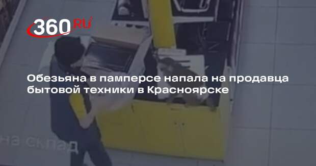 Обезьяна в памперсе напала на продавца бытовой техники в Красноярске