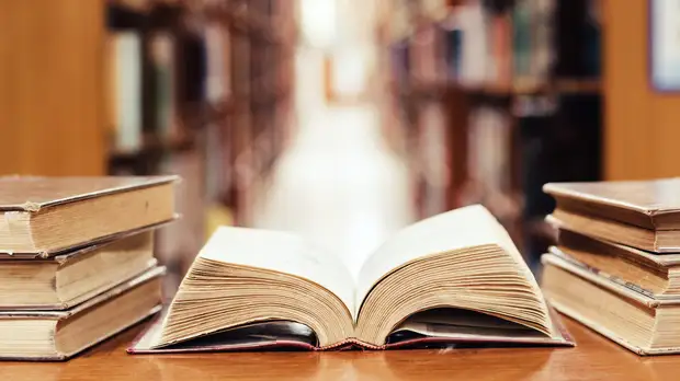 Детский писатель Игнатова рассказала о новой книге