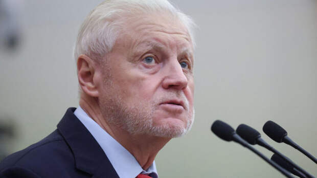 Миронов: кризис в секторе МСП - прямое следствие политики ЦБ и Минфина