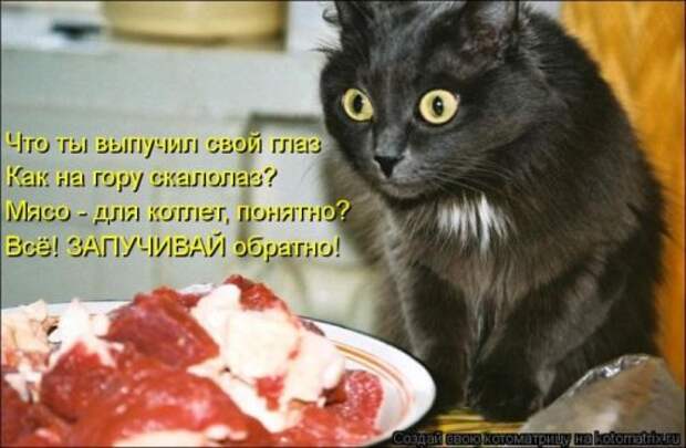 Сборник весёлых котоматриц (35 шт)