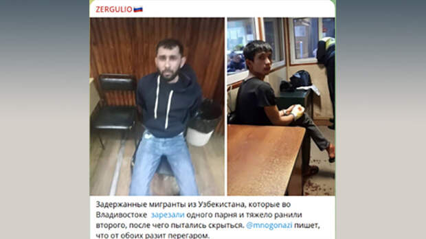 ФОТО: СКРИН С ТГ-КАНАЛА ZERGULIO