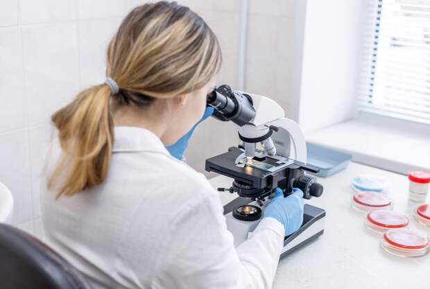 Российские ученые достали из-под земли «смелого путешественника»