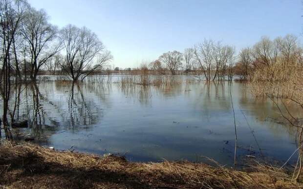 В Скопинском и Кораблинском районах 13 марта может подтопить 3 моста