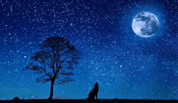 Human Will Be Living On The Moon By The End Of The Decade Claims NASA Official