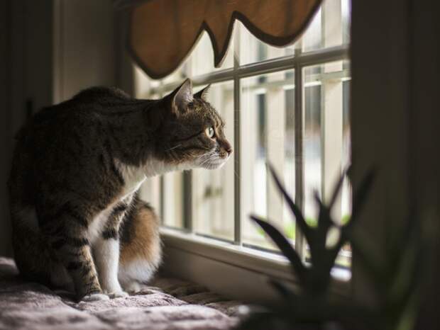 Предсказывать погоду синоптикам сильно помогает слово «местами». Представляем прогноз на 13 апреля в Туле