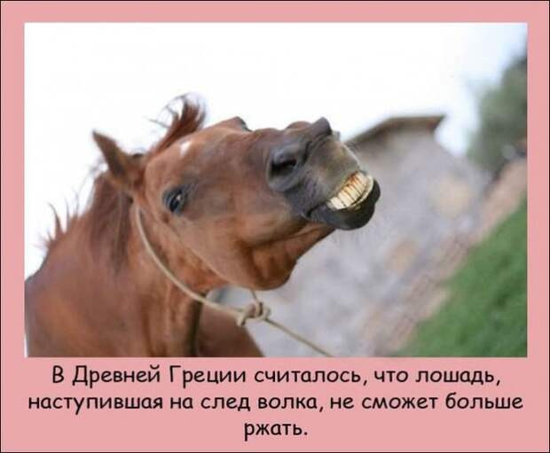 Интересные факты (20 фото)