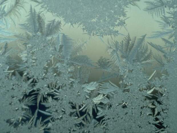Самые красивые фотографии морозной зимы frozen13 Самые красивые фотографии морозной зимы