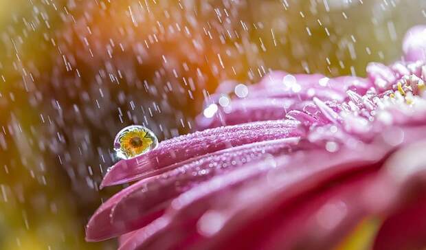 Творчество Miki Asai.