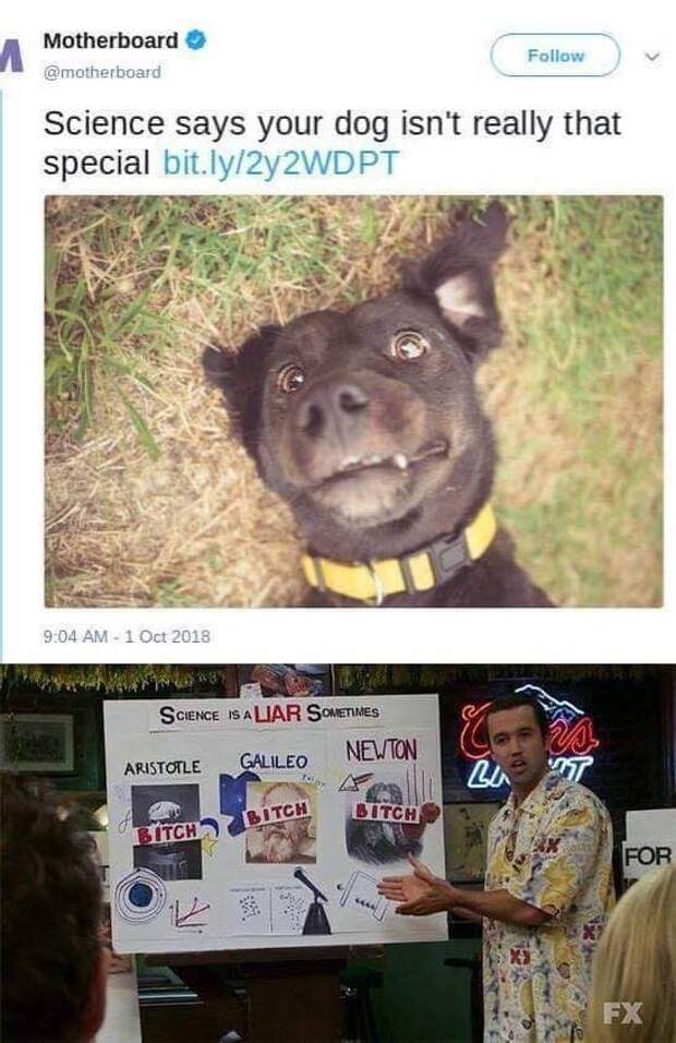 Маск попросил мемы Маск попросил мемы