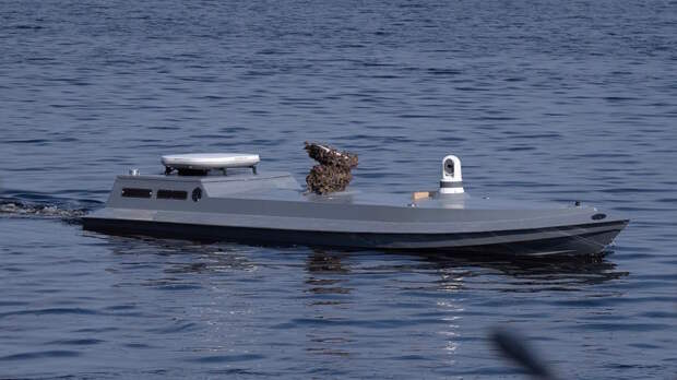 Российские военные ликвидировали 2 украинских БЭК в акватории Чёрного моря