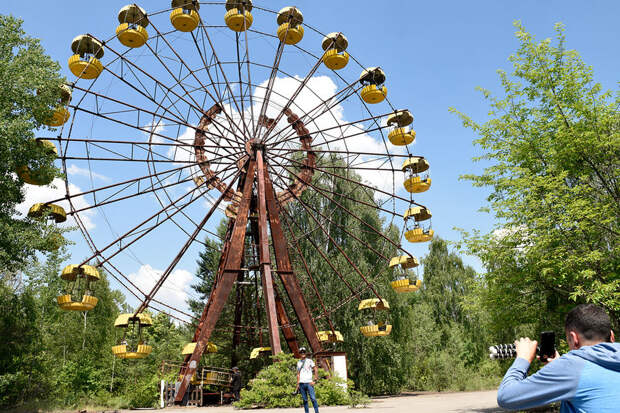 НЦФМ: в России первыми в мире выяснили, почему растения устойчивы к радиации