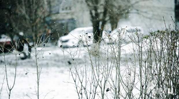 Жизнь на освобожденных территориях 11 января (обновляется)