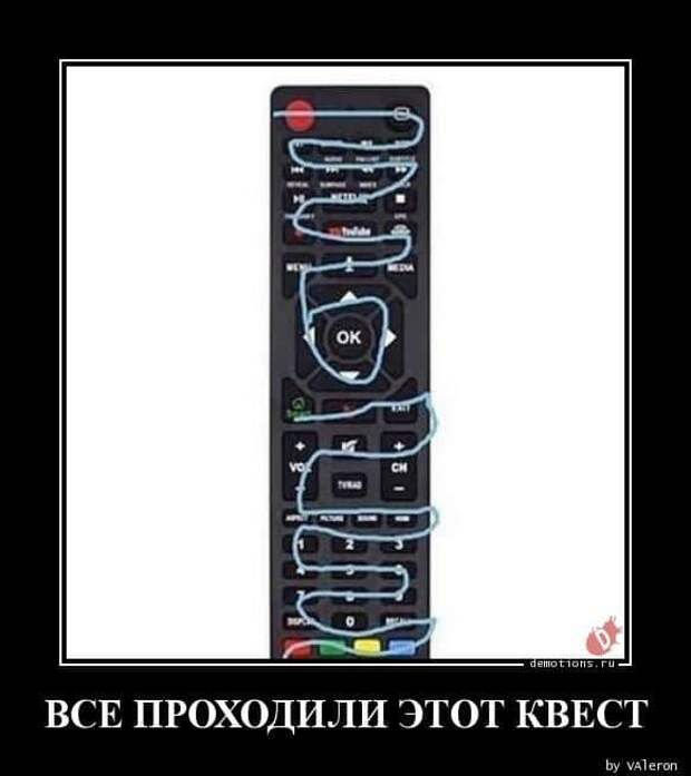 1589440000_demki-9.jpg