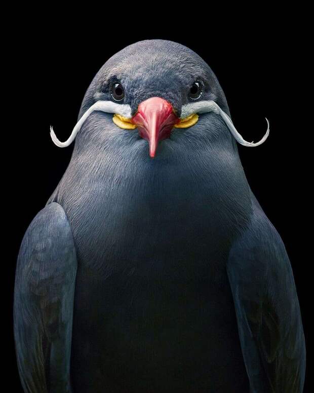 Автор фото: Тим Флек