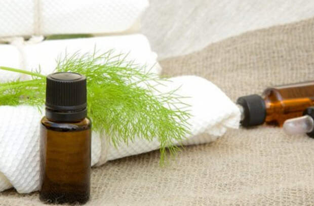 В чем польза укропного масла