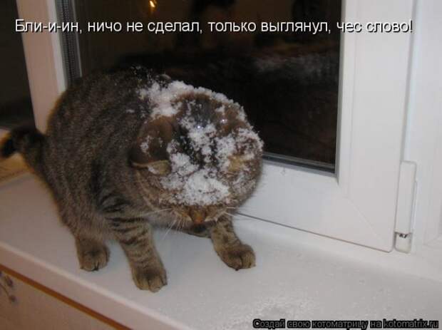 Котоматрицы за декабрь (45 штук) Котоматрицы за декабрь (45 штук)