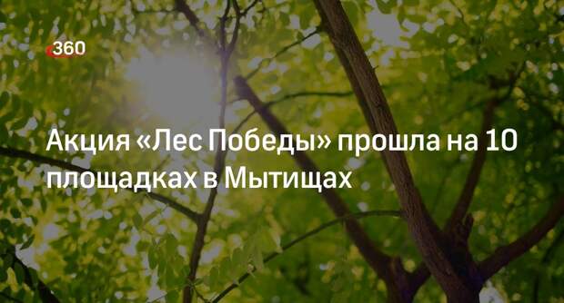 Акция «Лес Победы» прошла на 10 площадках в Мытищах