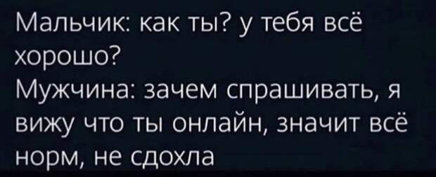Лучшие мемы, истории и картинки из Сети