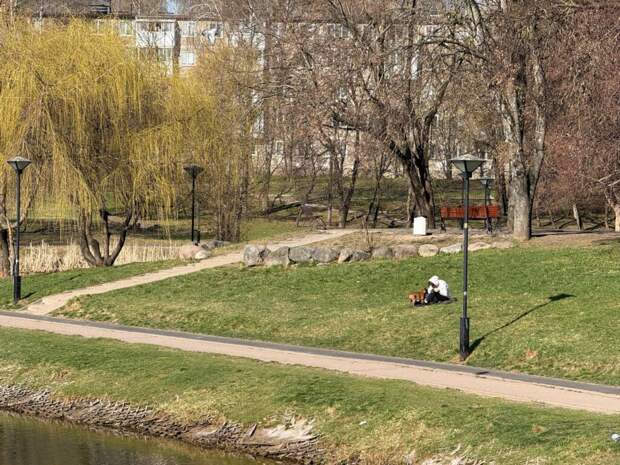 Жителям города рассказали о планах по благоустройству парка 1100-летия Смоленска